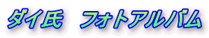 _C@tHgAo